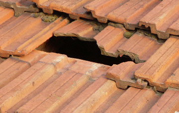 roof repair Low Wood, Cumbria